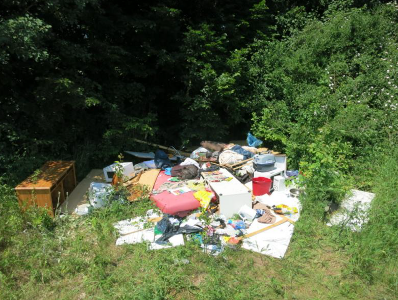 Bild eines Müllhaufens in der Nähe eines Waldes.