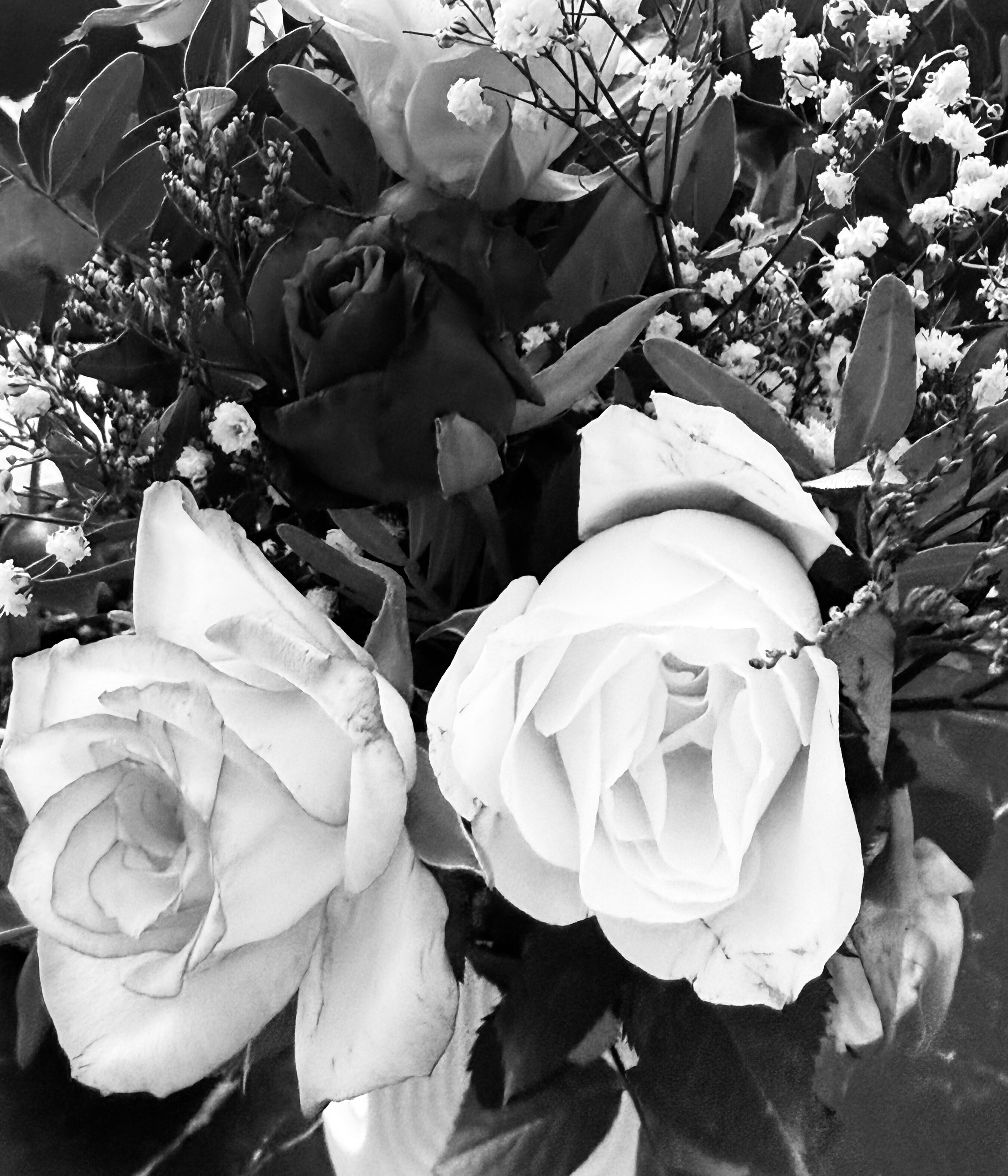 Blumen in schwarz-weiß