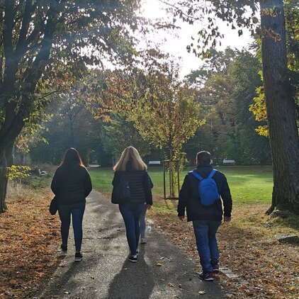 Drei Personen, die durch einen Wald gehen.