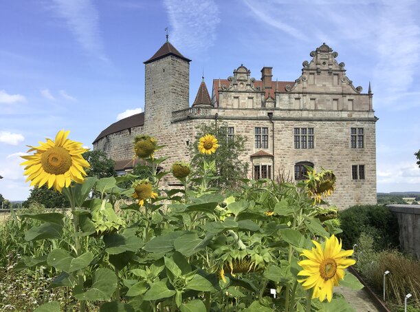 Das Bild zeigt die Cadolzburg. Im Vordergrund befinden sich Sonnenblumen.