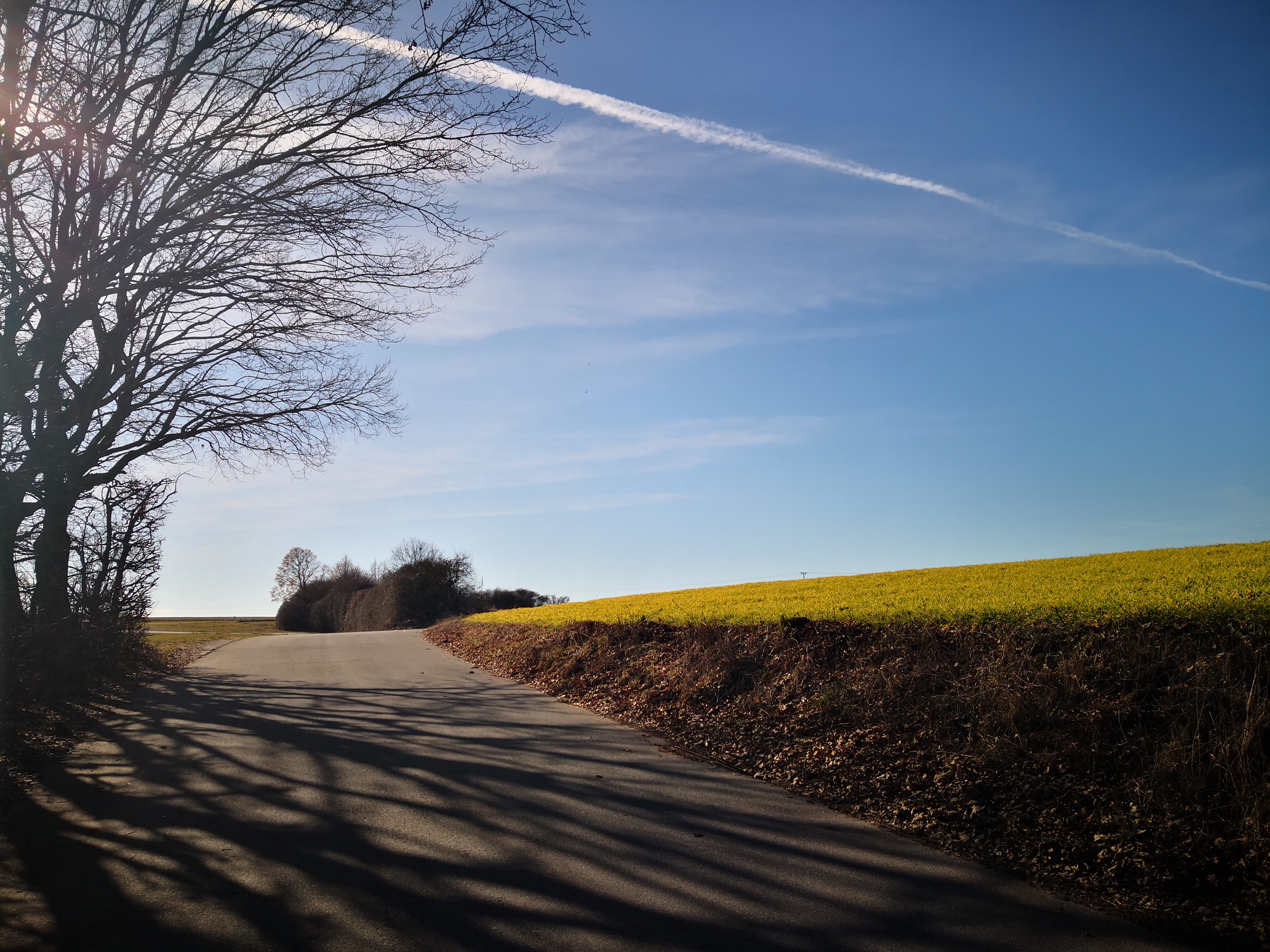 Das Foto führt auf die Webseite des Heimatlandkreises. Zu sehen ist ein Weg entlang von Feldern bei strahlend blauen Himmel.