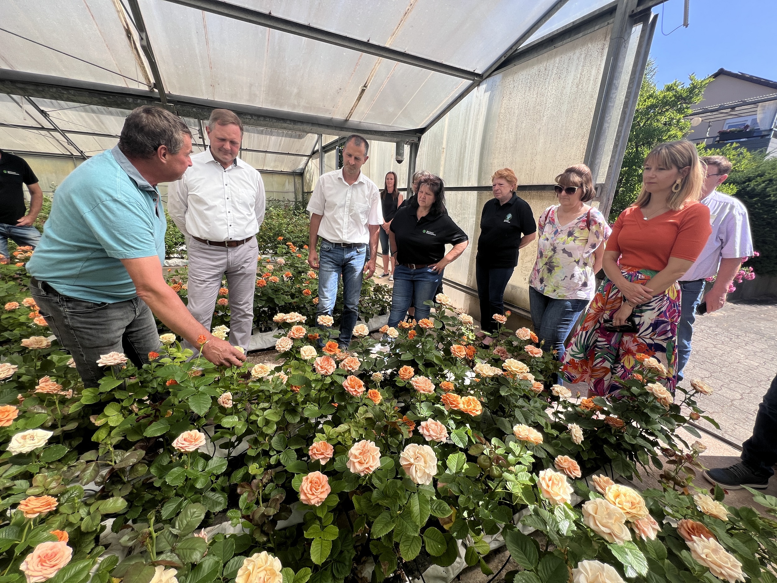 Das Bild zeigt den Gärtner Ralf Grögel im Gewächshaus bei den Rosen, wie er den Besuchern den umweltbewussten Umgang mit Ressourcen bei der Aufzucht sowie die biologische Düngung und den Einsatz von Nützlingen erklärt.  