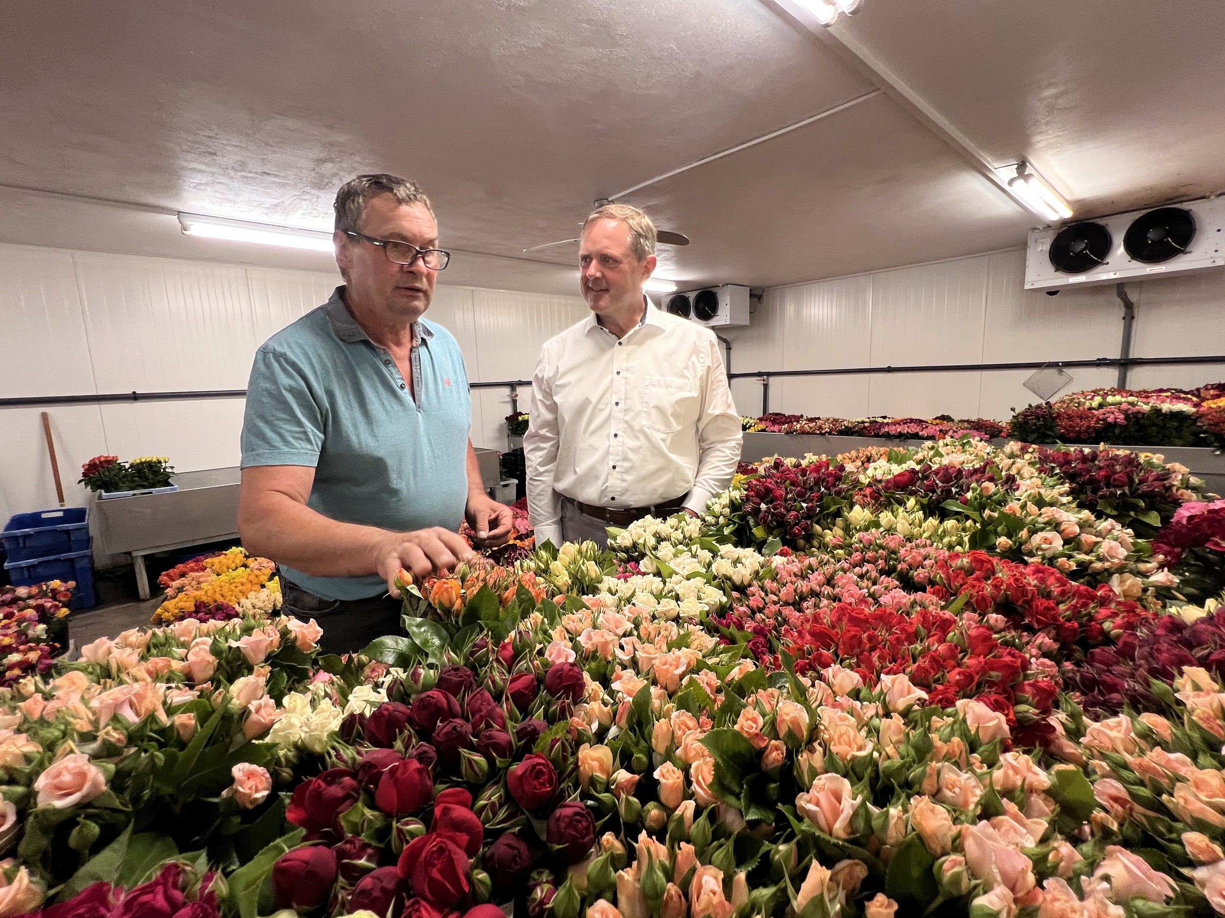Gärtner Ralf Grögel und Landrat Bernd Obst im Kühlhaus des Betriebes. Hier stehen die geschnittenen Rosen fertig für den Verkauf an Privatkunden, den Großhandel und Floristen im Großraum Nürnberg.