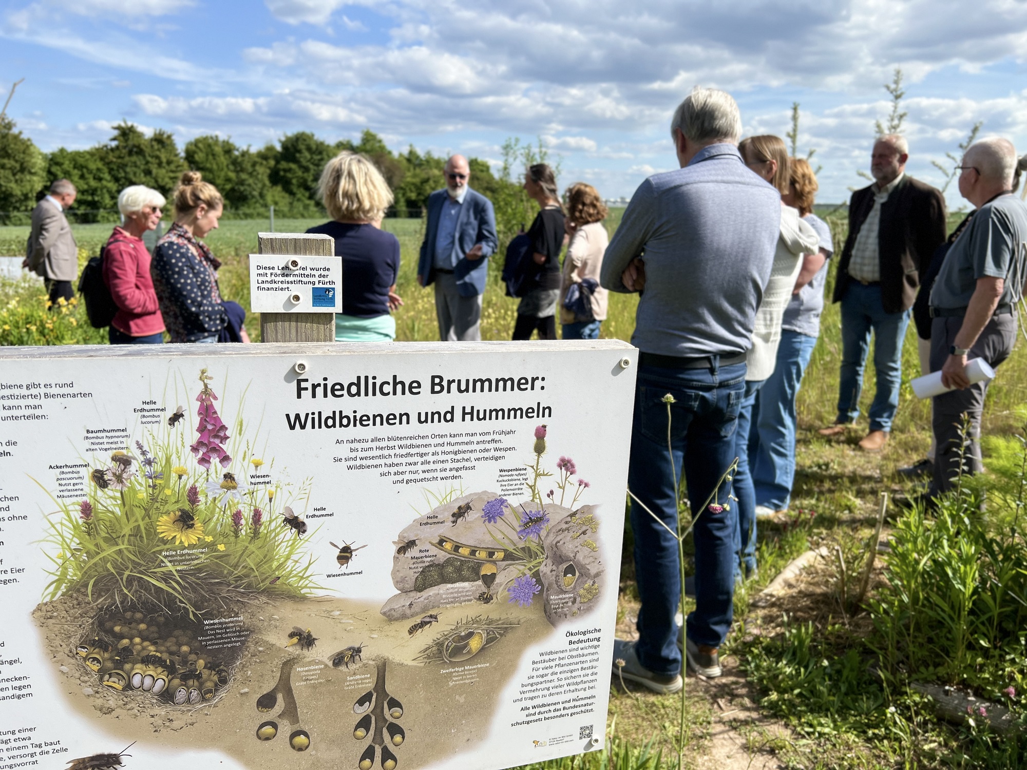 Das Bild zeigt ein Schild mit wichtigen Informationen über Wildbienen und Hummeln. Im Hintergrund lauschen die Teilnehmer einem Vortrag.