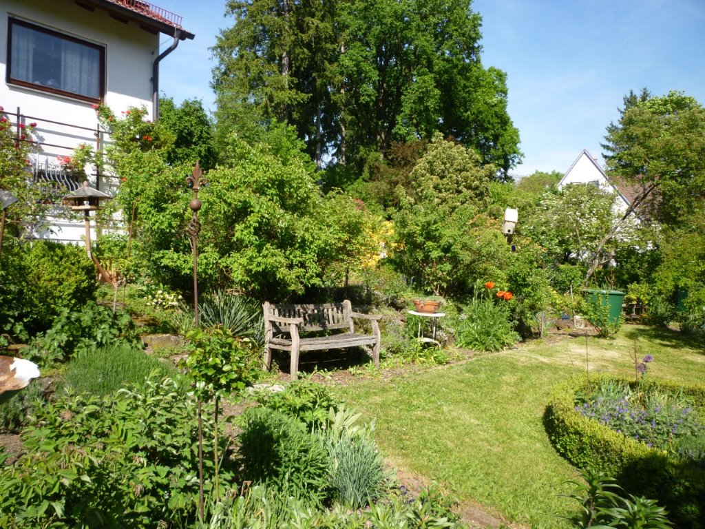 Das Bild zeigt einen Garten.