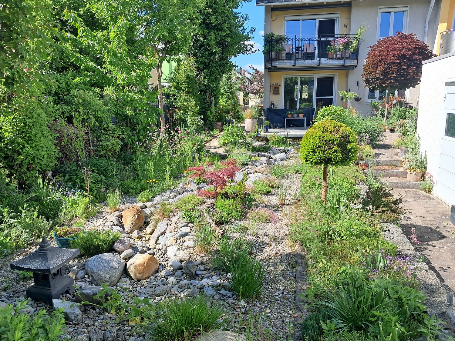 Das Bild zeigt einen Garten.